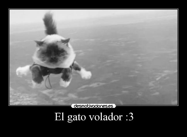 El gato volador :3 -