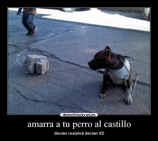 amarra a tu perro al castillo -