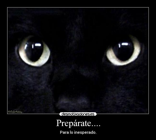 Prepárate.... -