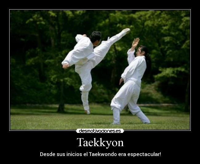 carteles artes marciales desmotivaciones