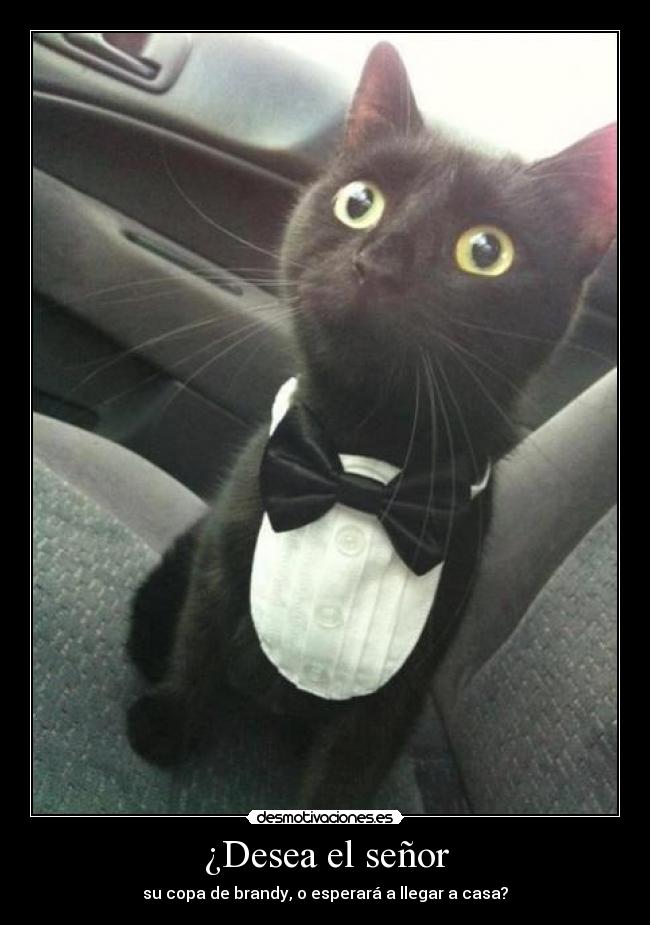 ¿Desea el señor - su copa de brandy, o esperará a llegar a casa?