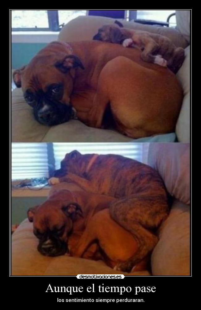 Aunque el tiempo pase - los sentimiento siempre perduraran.