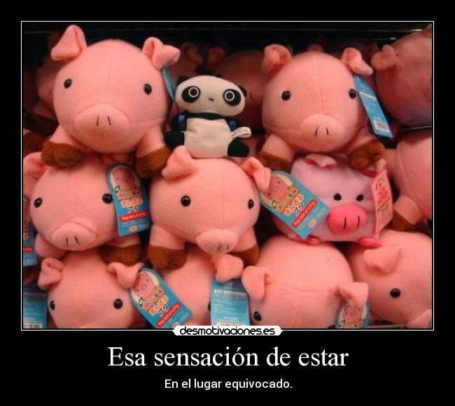 Esa sensación de estar - En el lugar equivocado.