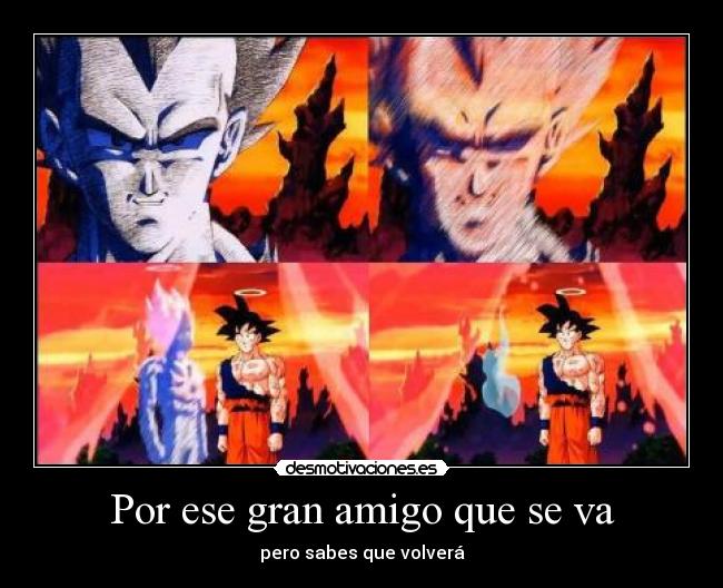 Por ese gran amigo que se va - 