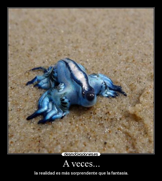 A veces... -