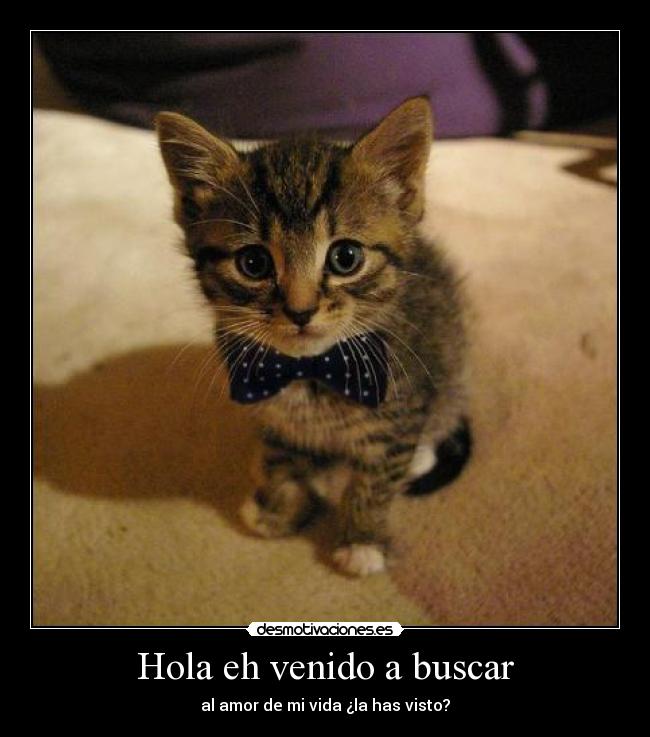 Hola eh venido a buscar -