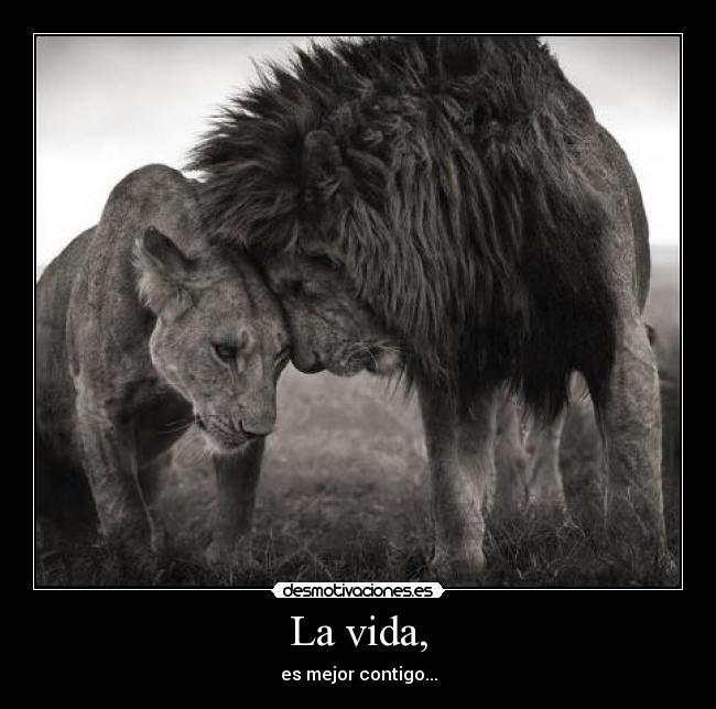 La vida, - es mejor contigo...