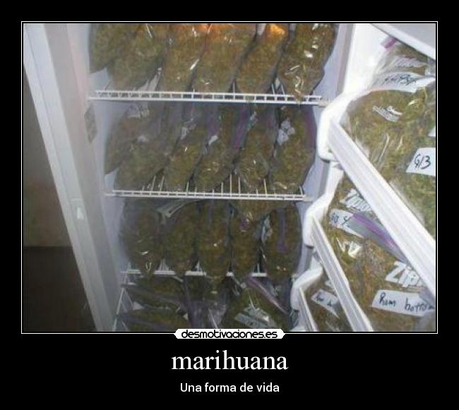 marihuana - 