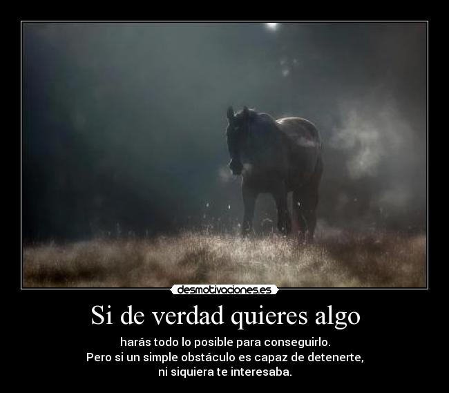 carteles caballo capaz hacer todo para sobrevivir tu solo vives desmotivaciones