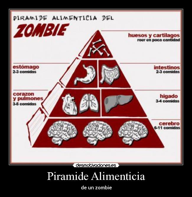 Piramide Alimenticia -