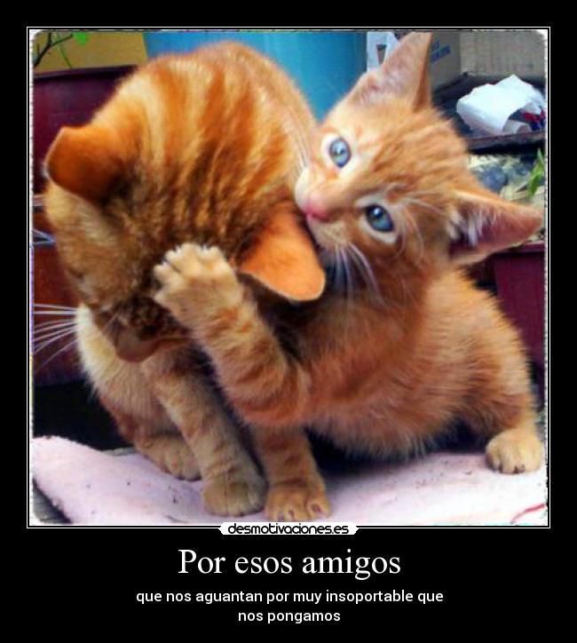 Por esos amigos - que nos aguantan por muy insoportable que
nos pongamos