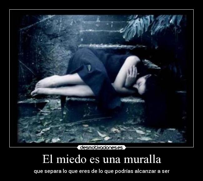 El miedo es una muralla - 
