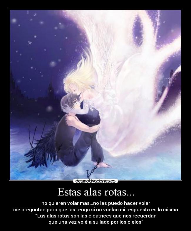 carteles las alas rotas sirven para saber que una vez volamos desmotivaciones