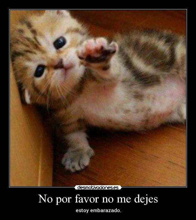 mas for favor mas for favor