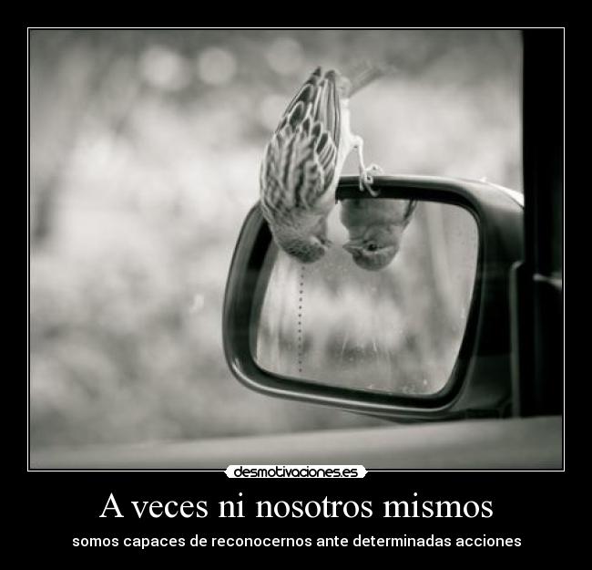 carteles guillari clanleyendasublime clankiwi desmotivaciones