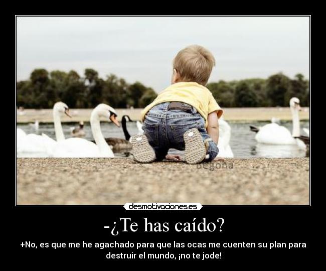 -¿Te has caído? - +No, es que me he agachado para que las ocas me cuenten su plan para
destruir el mundo, ¡no te jode!