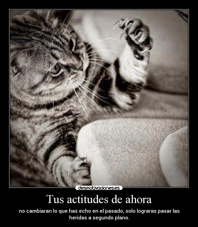 Tus actitudes de ahora - no cambiaran lo que has echo en el pasado, solo lograras pasar las
heridas a segundo plano.