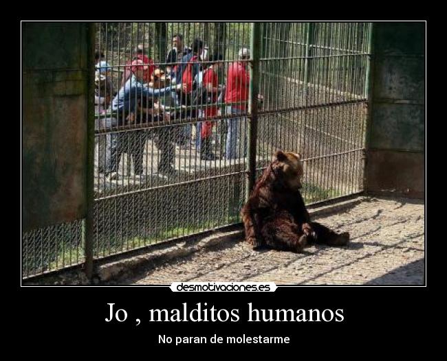 Jo , malditos humanos - No paran de molestarme