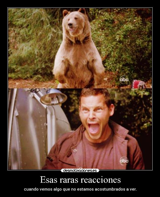 Esas raras reacciones -