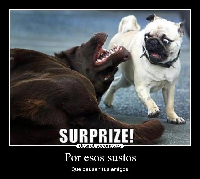 Por esos sustos - Que causan tus amigos.