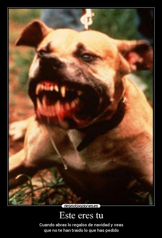Este eres tu - Cuando abras lo regalos de navidad y veas
que no te han traido lo que has pedido