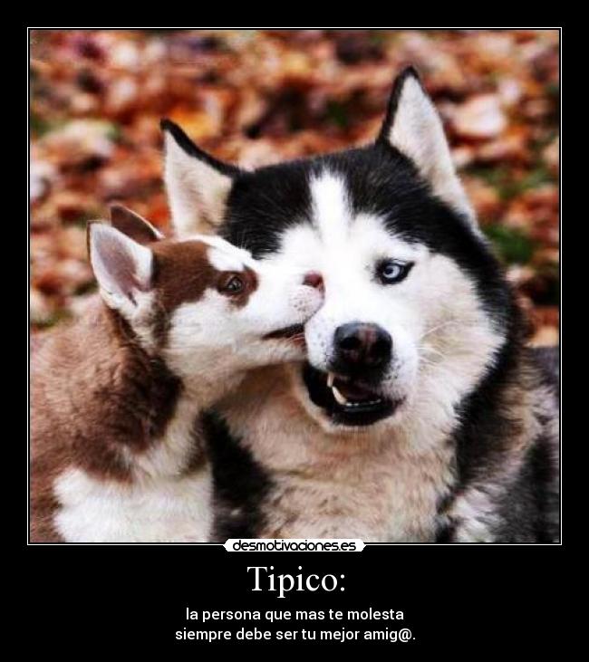 Tipico: - la persona que mas te molesta
siempre debe ser tu mejor amig@.