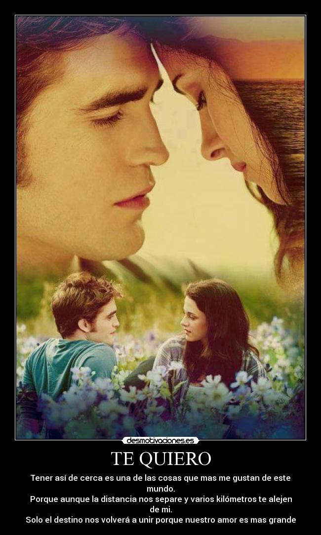 carteles stefyv desmotivaciones