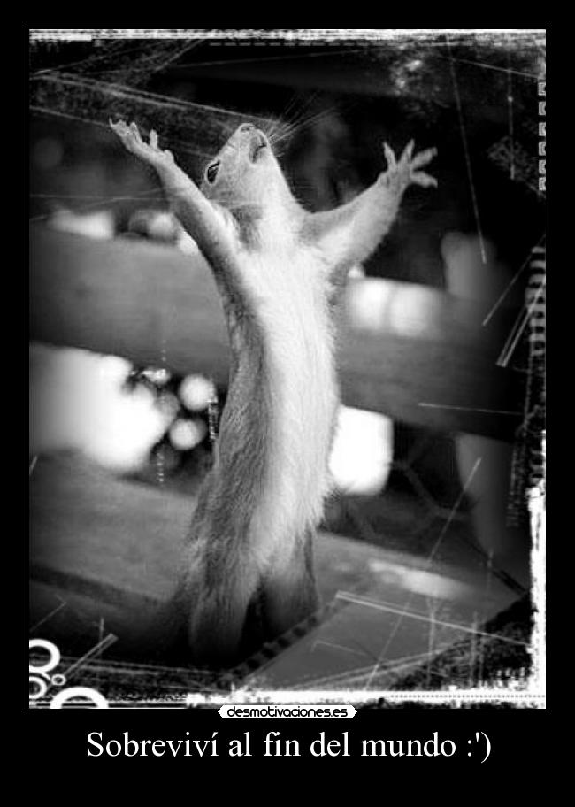 Sobreviví al fin del mundo :) -