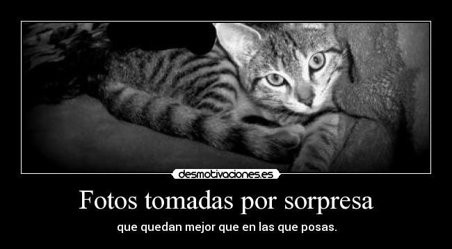 Fotos tomadas por sorpresa -