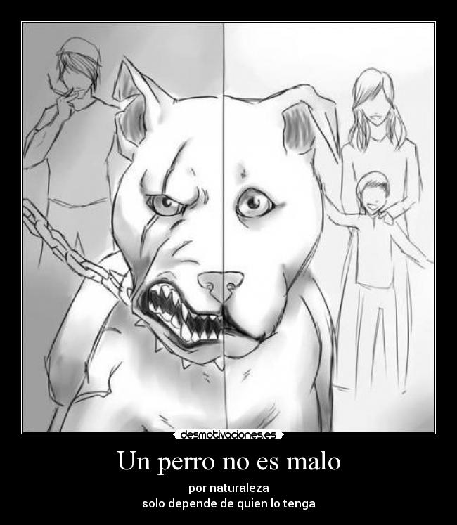 Un perro no es malo -
