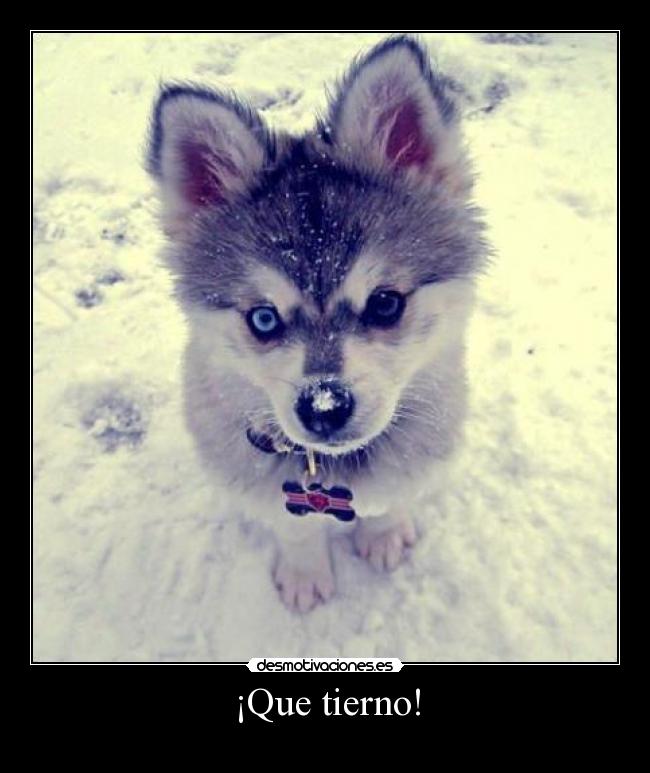 ¡Que tierno! -