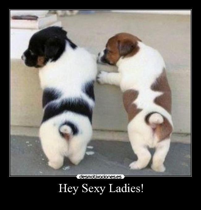 Hey Sexy Ladies! -