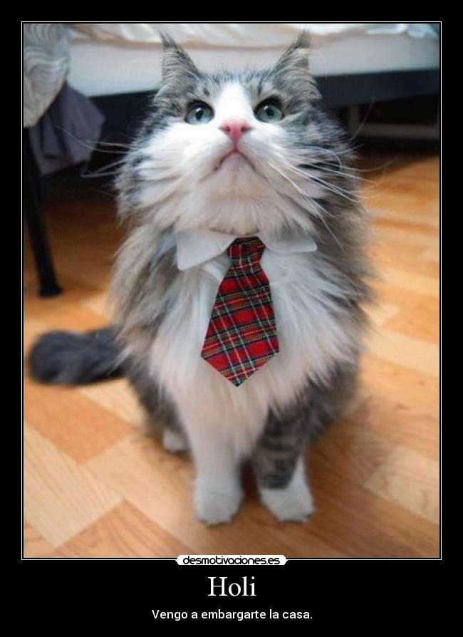 Holi - Vengo a embargarte la casa.