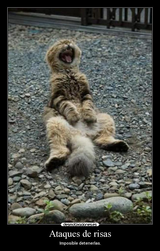 carteles risass desmotivaciones