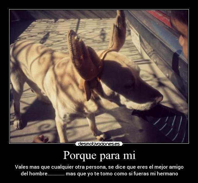 carteles burciaga desmotivaciones