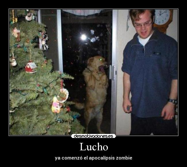 Lucho - ya comenzó el apocalípsis zombie
