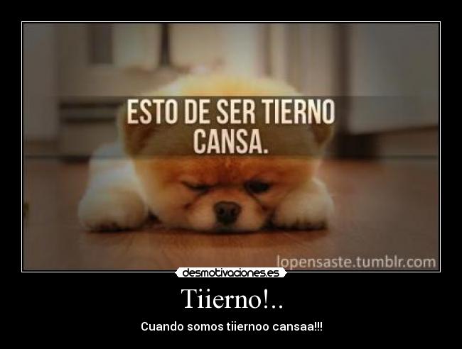 carteles oniifer desmotivaciones