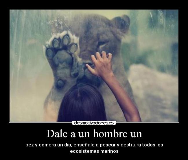 Dale a un hombre un - 