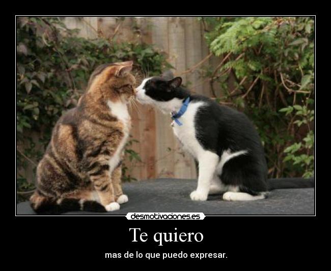 Te quiero -
