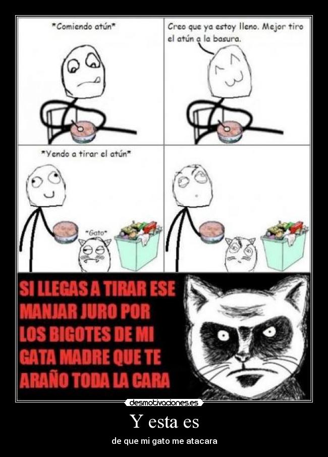 Y esta es - de que mi gato me atacara