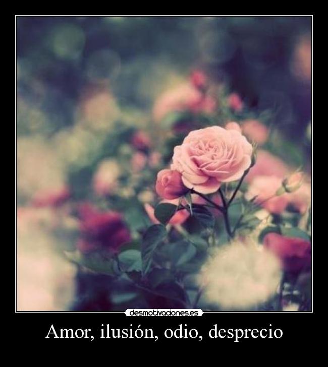 Amor, ilusión, odio, desprecio -