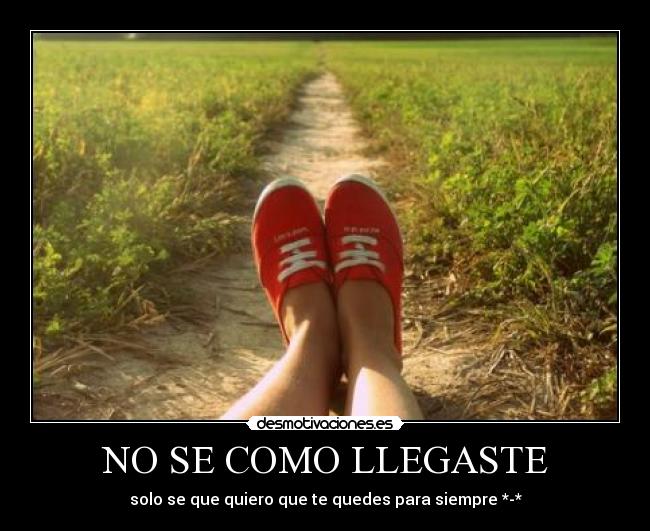 NO SE COMO LLEGASTE - solo se que quiero que te quedes para siempre *-*