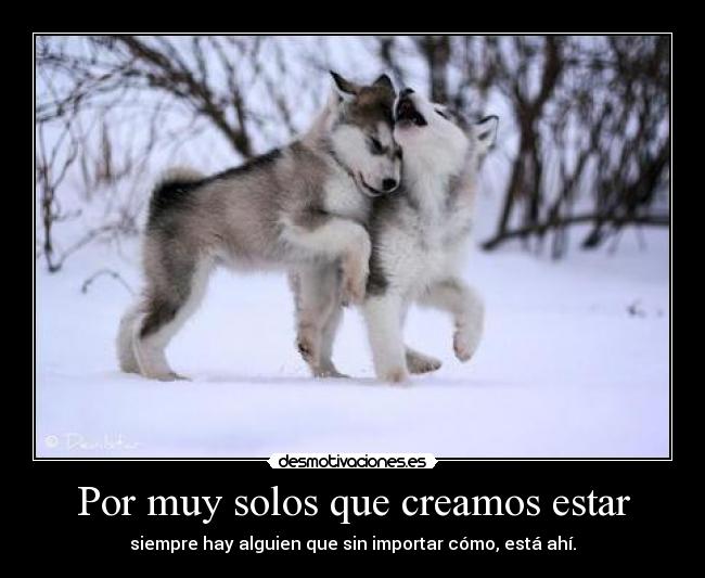 Por muy solos que creamos estar - siempre hay alguien que sin importar cómo, está ahí.