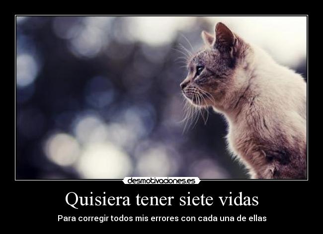 Quisiera tener siete vidas - Para corregir todos mis errores con cada una de ellas