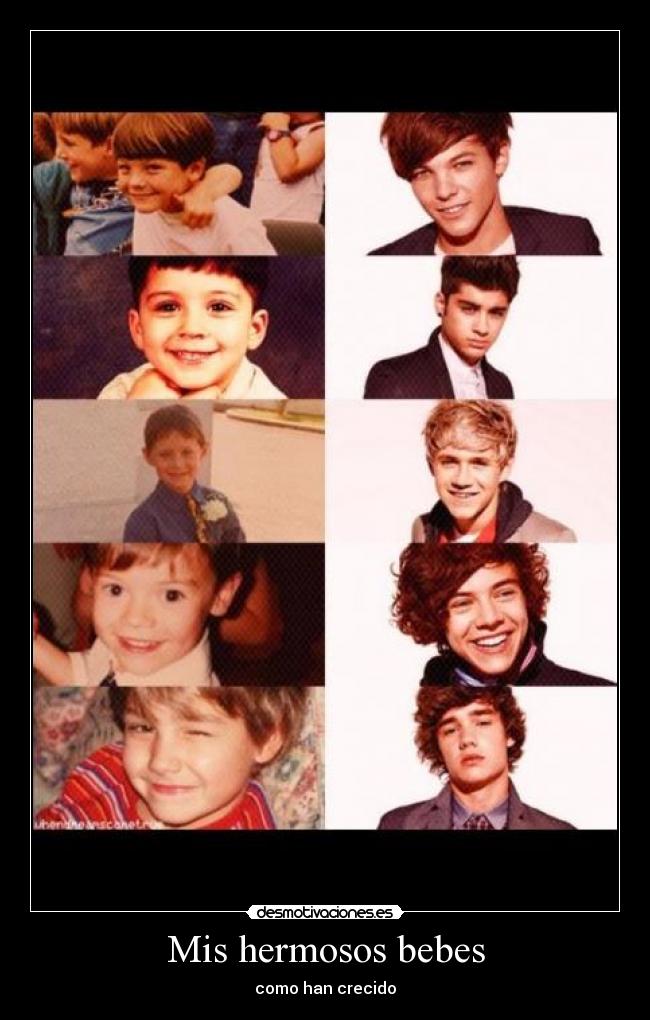Mis hermosos bebes - como han crecido