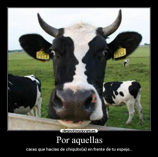 Por aquellas - caras que hacías de chiquito(a) en frente de tu espejo...