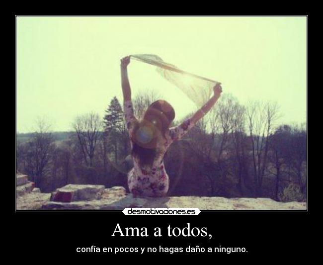 carteles above all trust few desmotivaciones