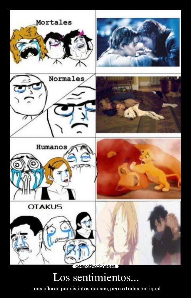 Los sentimientos... - ...nos afloran por distintas causas, pero a todos por igual.