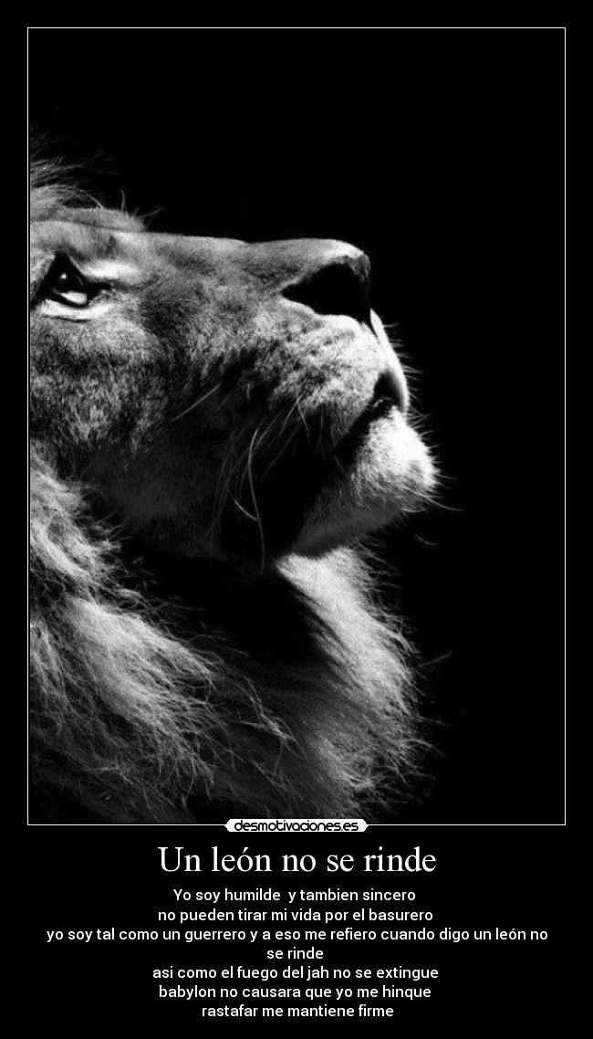 Un león no se rinde - Yo soy humilde y tambien sincero
no pueden tirar mi vida por el basurero
yo soy tal como un guerrero y a eso me refiero cuando digo un león no se rinde
asi como el fuego del jah no se extingue
babylon no causara que yo me hinque
rastafar me mantiene firme