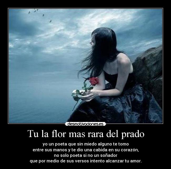 Tu la flor mas rara del prado - yo un poeta que sin miedo alguno te tomo
entre sus manos y te dio una cabida en su corazón,
no solo poeta si no un soñador
que por medio de sus versos intento alcanzar tu amor.
